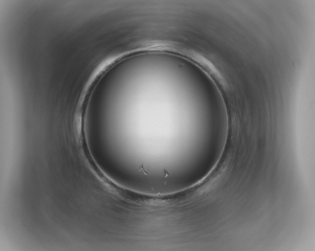 X0000112941424200908241311