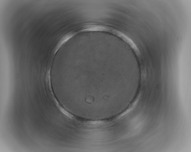 X0000112941425200908241311