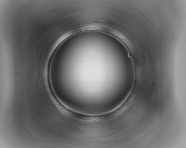 X0000112941426200908241311