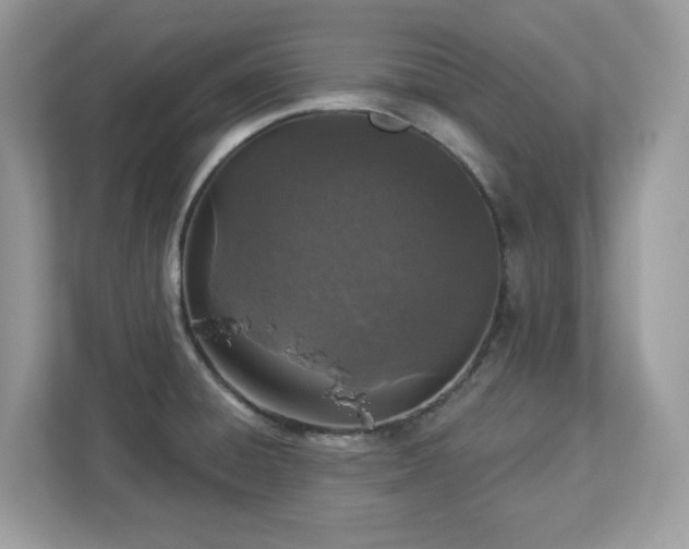 X0000112941428200908241311