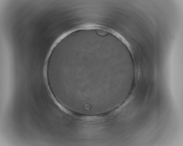 X0000112941429200908241311