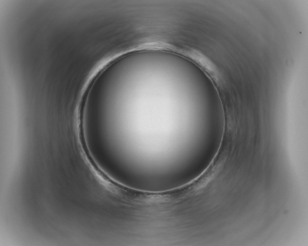 X0000112941430200908241311