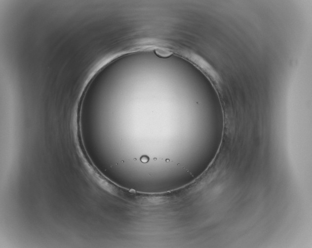 X0000112941431200908241311