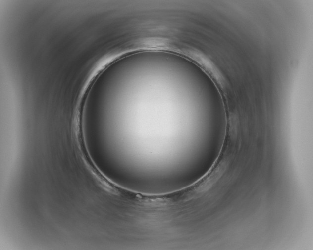 X0000112941432200908241311