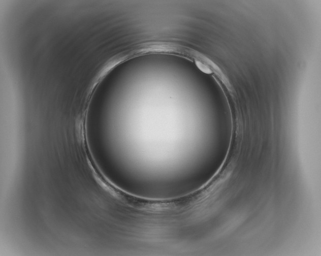 X0000112941433200908241311