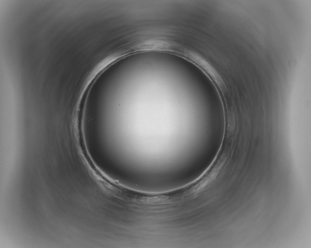 X0000112941434200908241311