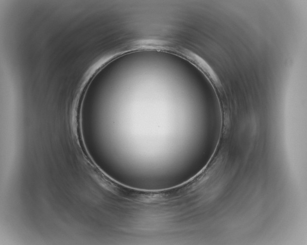 X0000112941435200908241311