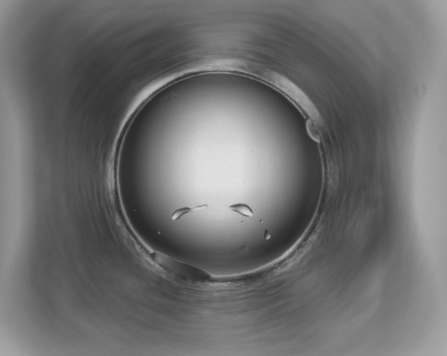 X0000112941436200908241311