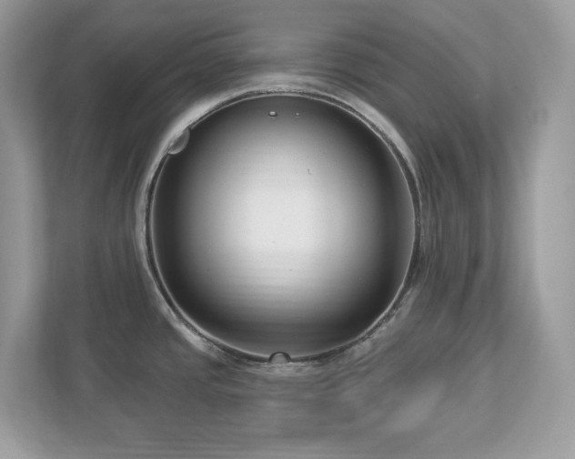 X0000112941437200908241311