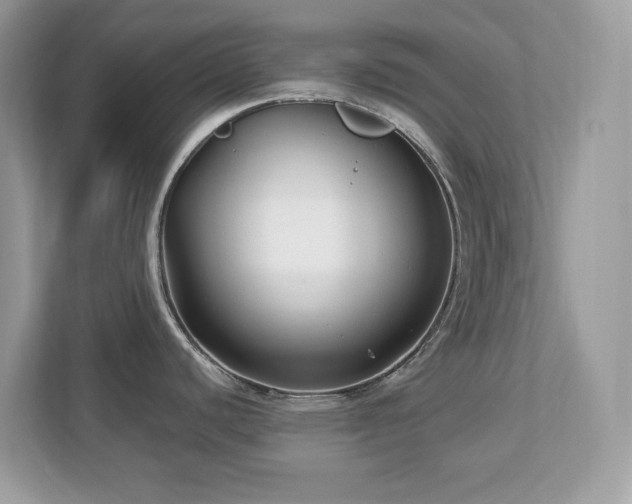X0000112941440200908241311