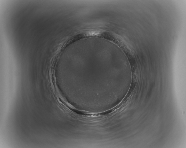 X0000112941441200908241311