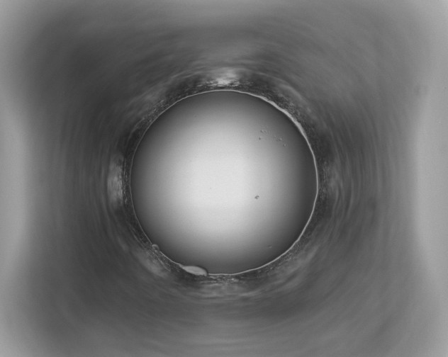 X0000112941442200908241311