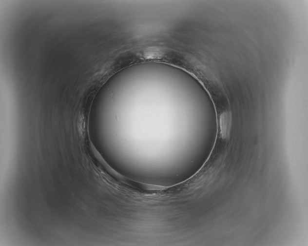 X0000112941443200908241311