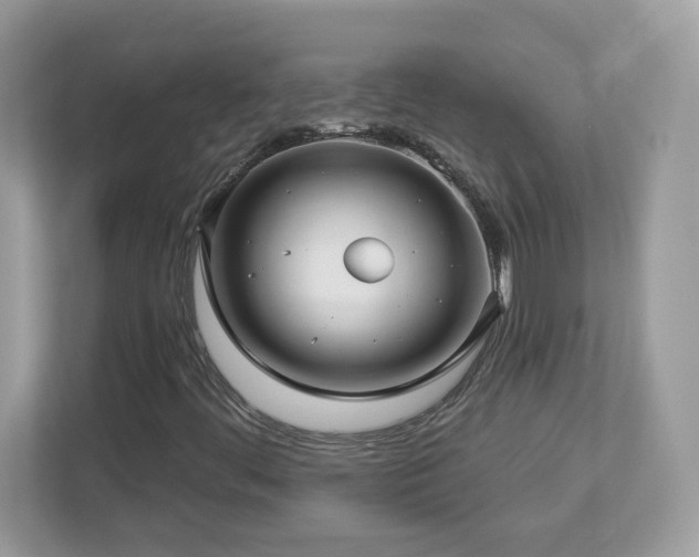 X0000112941444200908241311