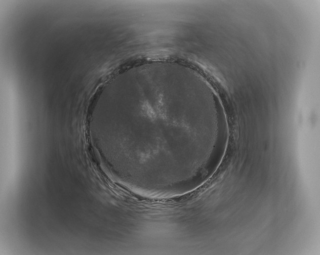 X0000112941445200908241311