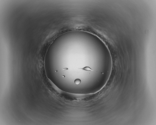X0000112941447200908241311