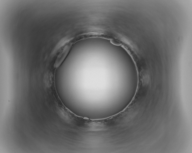 X0000112941448200908241311
