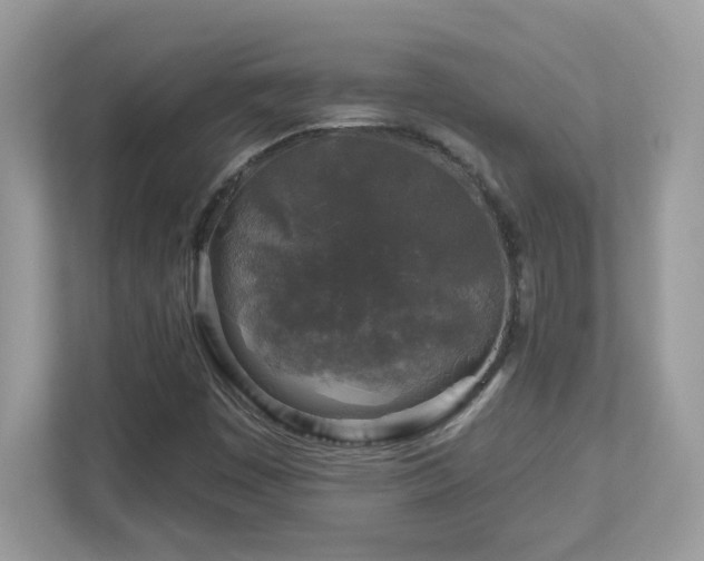 X0000112941449200908241311