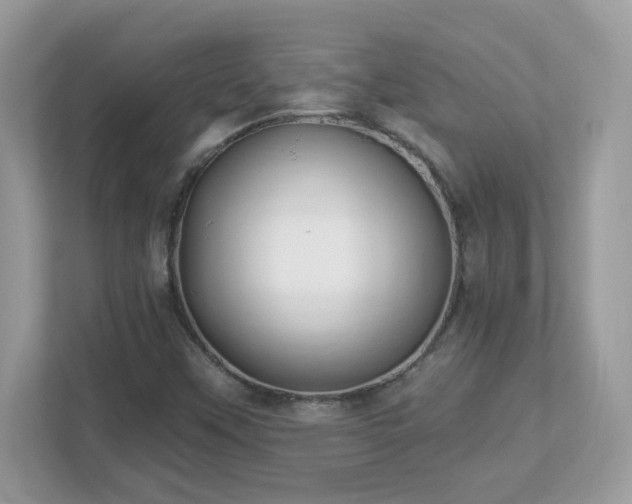 X0000112941451200908241311