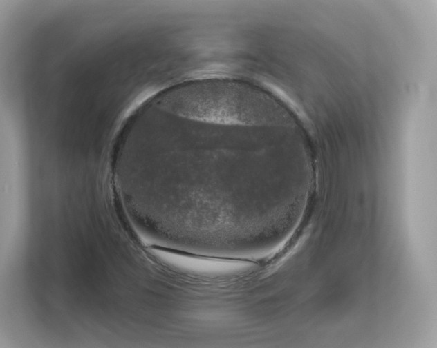 X0000112941453200908241311