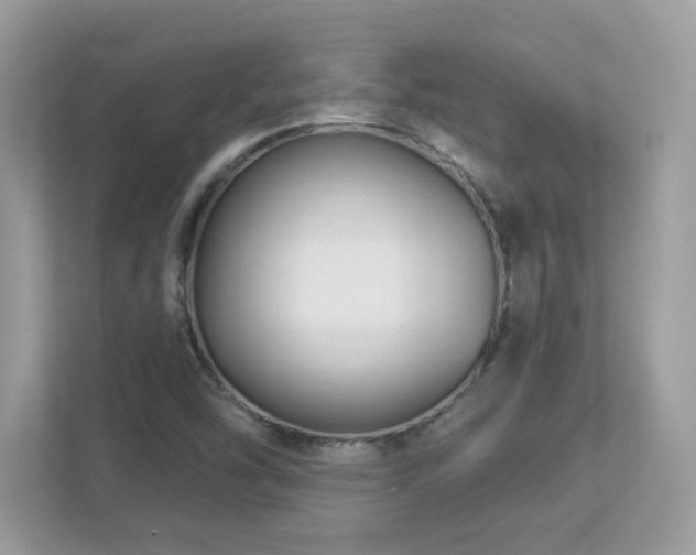 X0000112941454200908241311