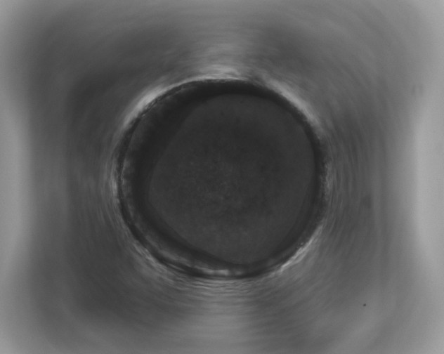 X0000112941455200908241311