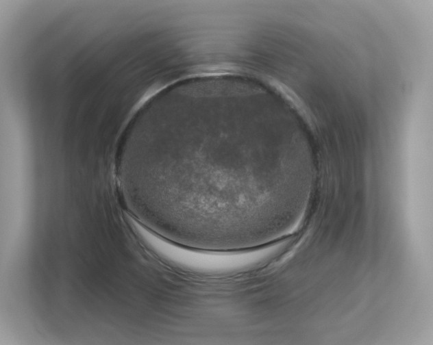 X0000112941457200908241311