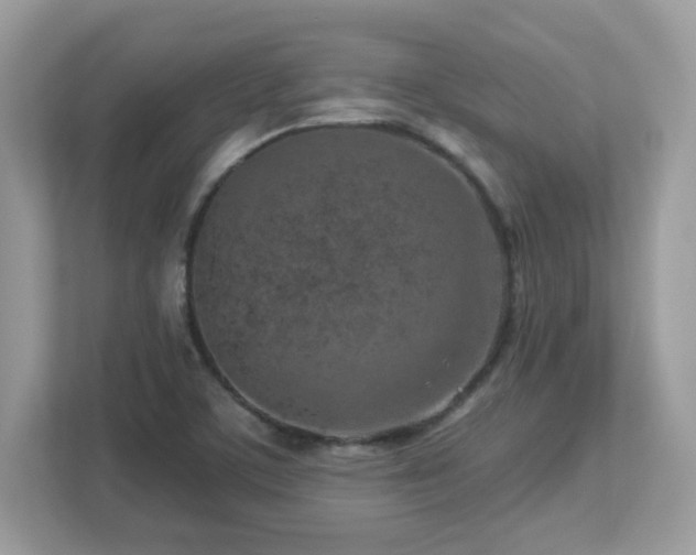 X0000112941459200908241311