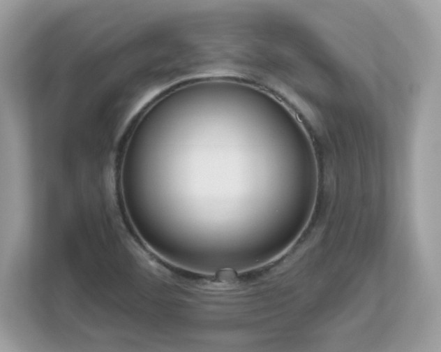 X0000112941460200908241311