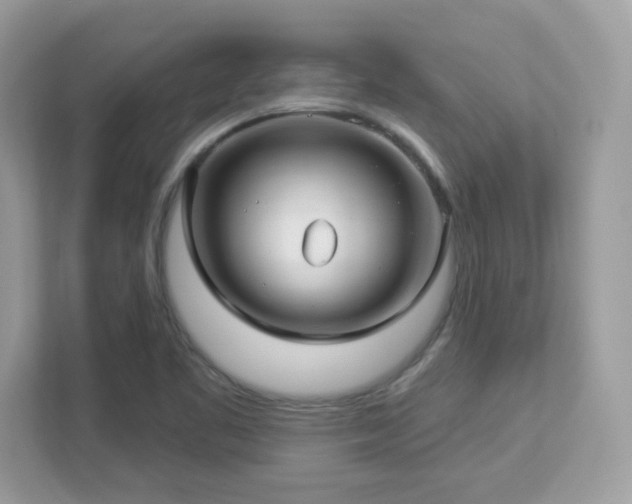 X0000112941461200908241311