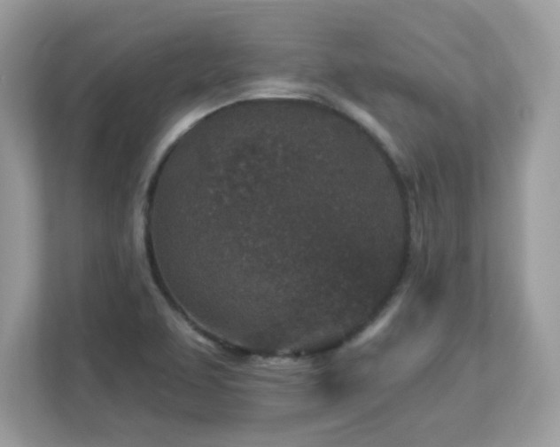 X0000112941463200908241310