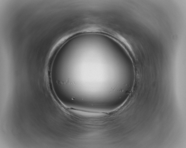 X0000112941464200908241310