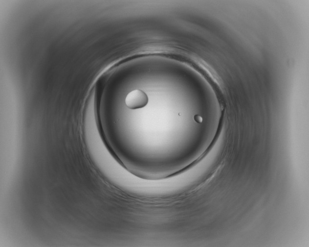 X0000112941465200908241310