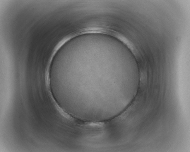 X0000112941466200908241310