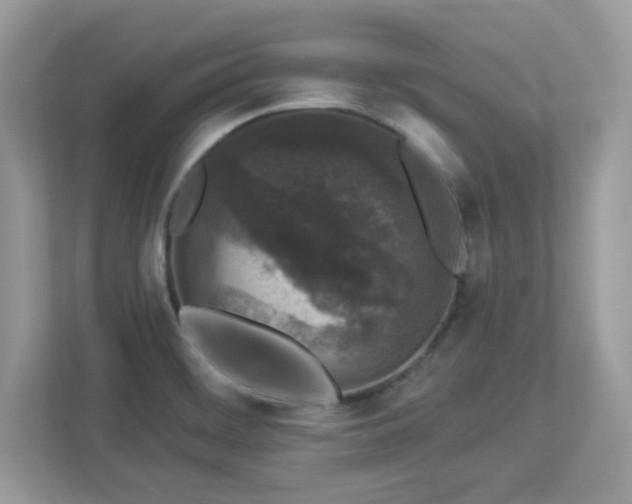 X0000112941468200908241310