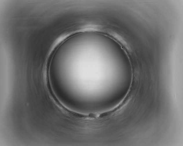 X0000112941469200908241310