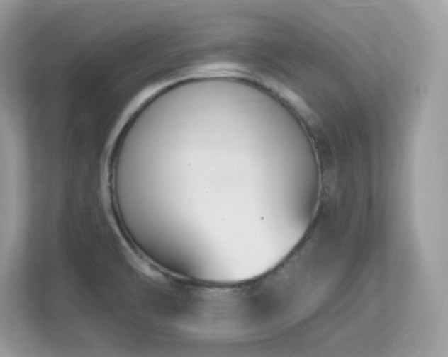 X0000112941470200908241310