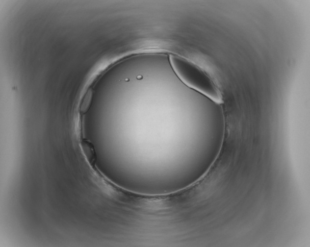 X0000112941472200908241310