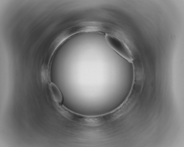 X0000112941473200908241310