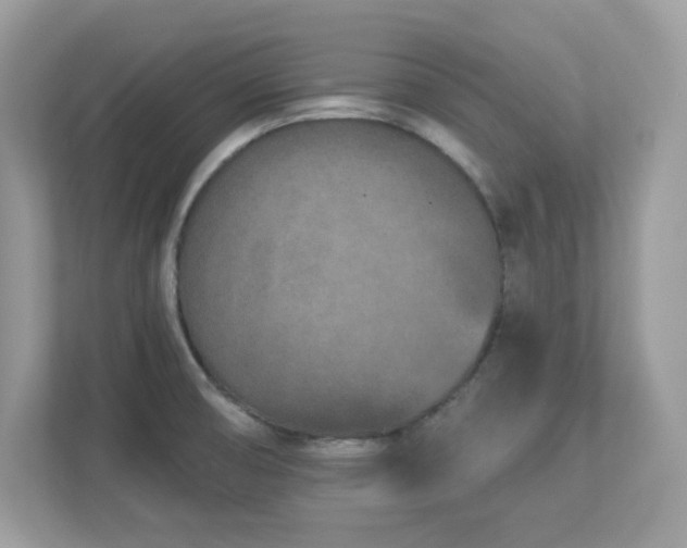 X0000112941474200908241310