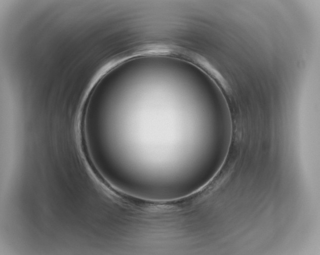 X0000112941475200908241310