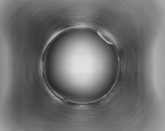 X0000112941476200908241310