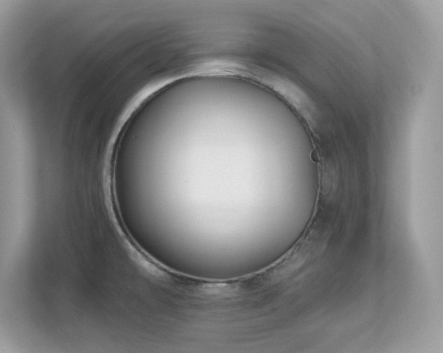 X0000112941478200908241310