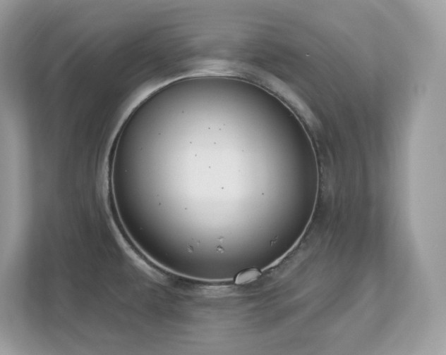 X0000112941479200908241310