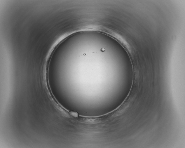 X0000112941480200908241310