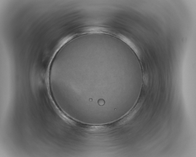 X0000112941482200908241310