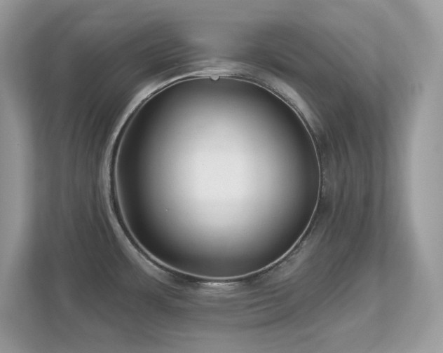 X0000112941483200908241310