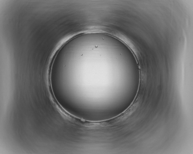 X0000112941485200908241310