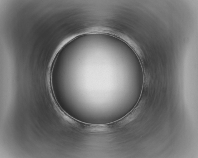 X0000112941486200908241310