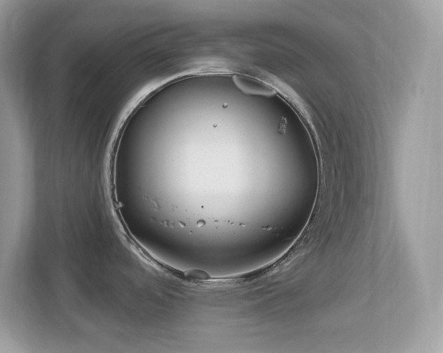 X0000112941488200908241310
